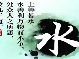 职场法则之上善若水：居善地、心善渊、与善仁、言善信、正善治、事善能、动善时